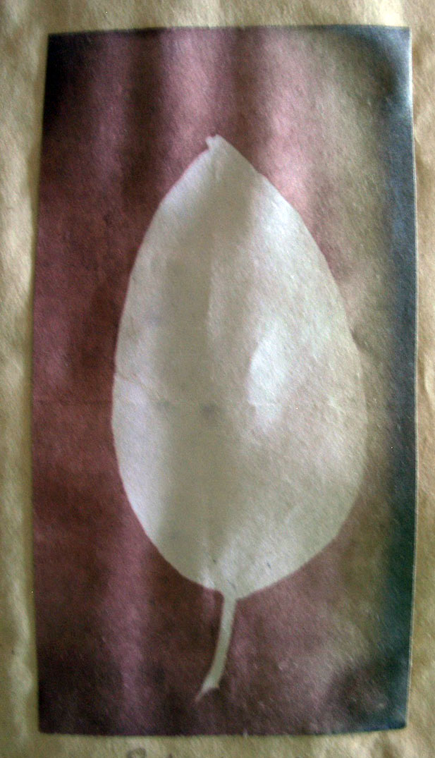 ../../../images/willats color3.jpg